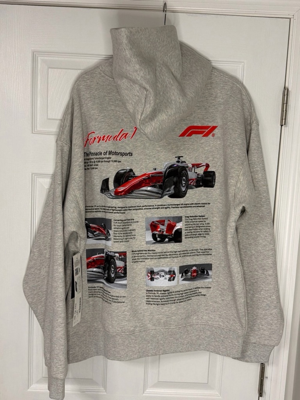 NWT Pac-Sun Formula 1 Graphic Grey Pullover Hoodie - Motorsport Print
